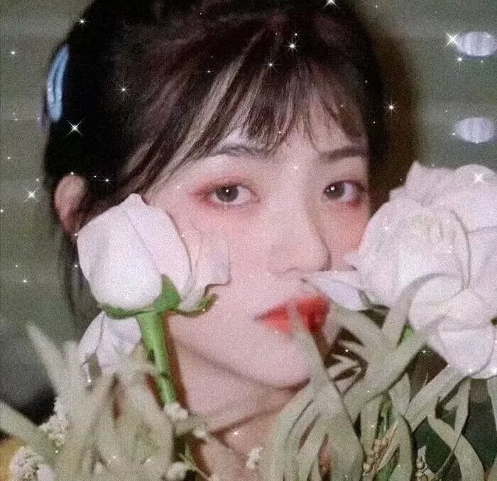 堡垒第一季